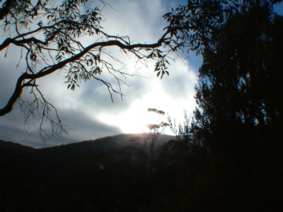 b0024339_1028977.jpg