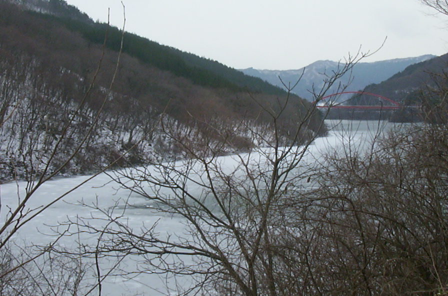 a0029157_15294852.jpg