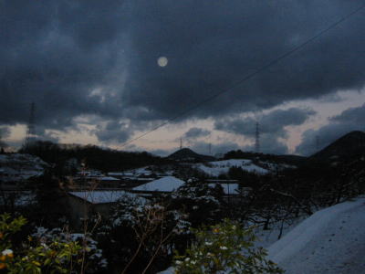 b0040366_0353170.jpg
