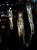 b0011287_1714760.jpg
