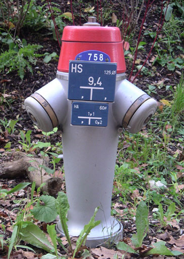 b0038588_22474638.jpg