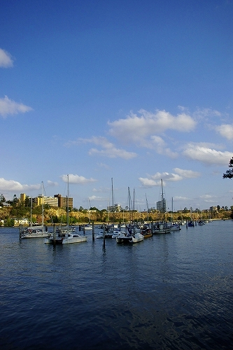 b0042293_23352860.jpg