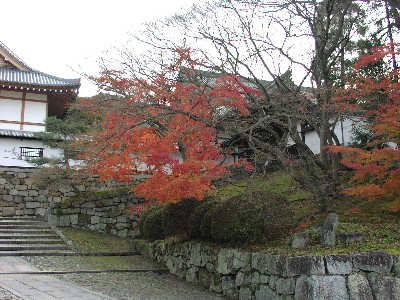 b0021101_12545688.jpg