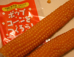 c0024729_848171.jpg