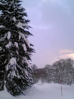 b0014001_12583142.jpg