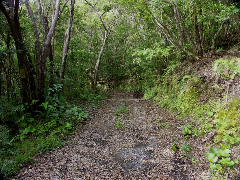 b0060239_11144616.jpg
