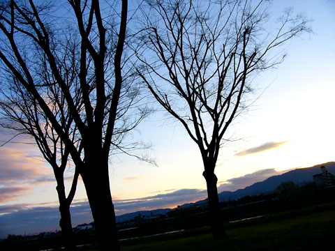 a0024250_25365.jpg