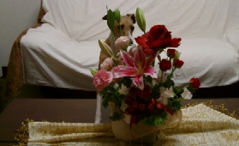 b0069169_3242430.jpg