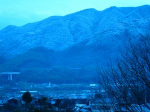 c0015882_234146.jpg