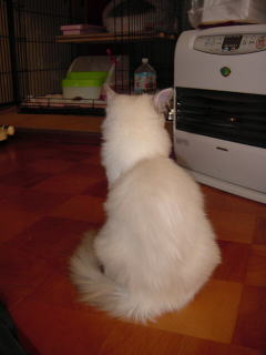 c0024410_18364330.jpg