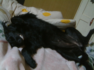 c0017311_2052934.jpg