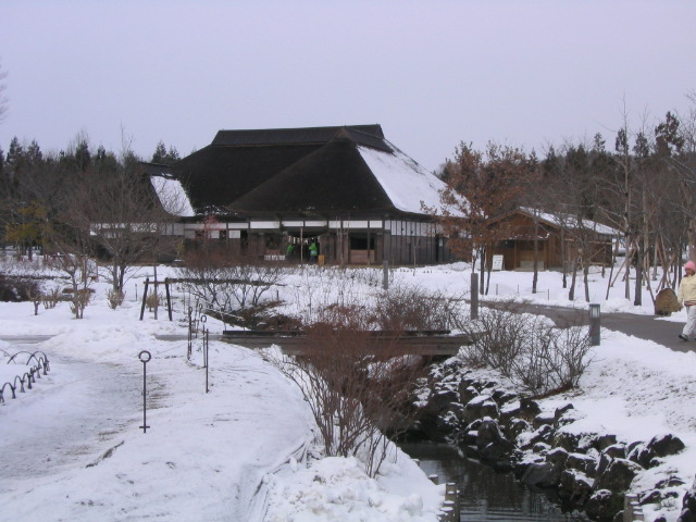 a0030217_1742213.jpg