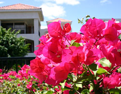 c0024729_9513833.jpg
