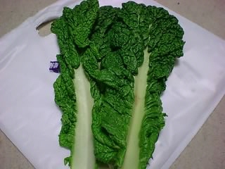 a0017846_2314681.jpg