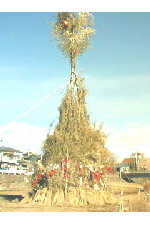 c0011446_210950.jpg