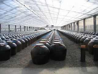 c0009650_2228978.jpg
