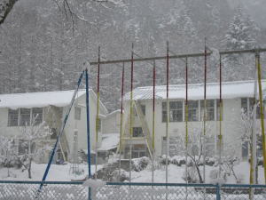 b0040366_233246.jpg