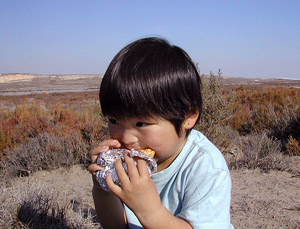 c0009070_3141691.jpg