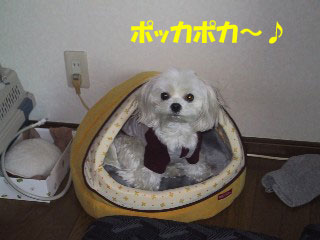 b0060071_14241110.jpg