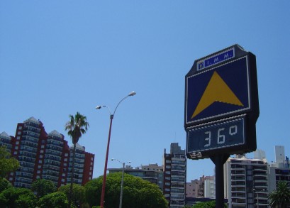 a0008885_7142576.jpg