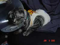今の靚靚にケーブルつないだら、衛星放送とか映りそうです←ダメ飼い主