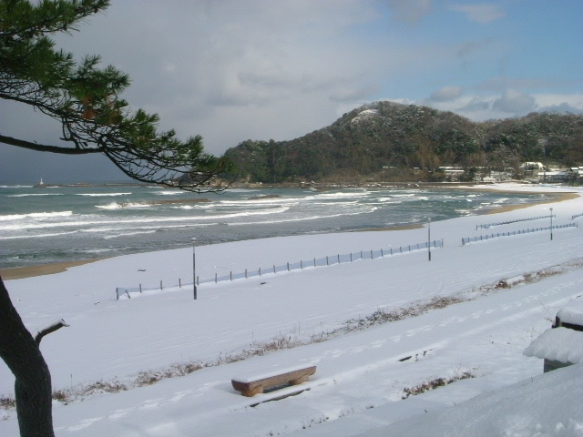 b0044296_22134991.jpg