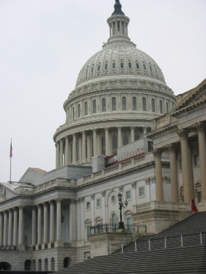c0014416_9465544.jpg
