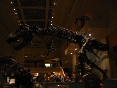 c0014416_9582297.jpg