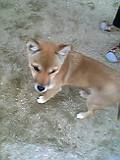 a0035518_22302835.jpg