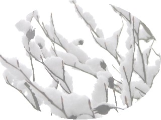 c0020059_10341710.jpg