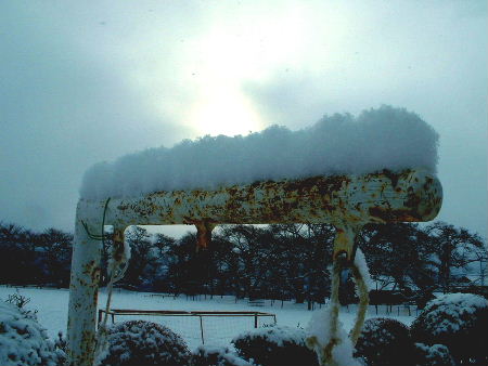 b0015260_12162477.jpg
