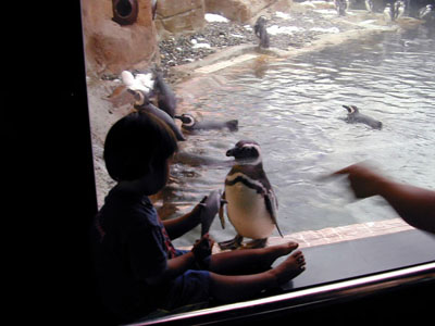 c0009070_7541100.jpg