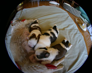 c0011204_20494966.jpg