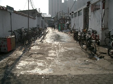 b0066240_12555817.jpg