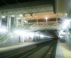 a0016192_411581.gif