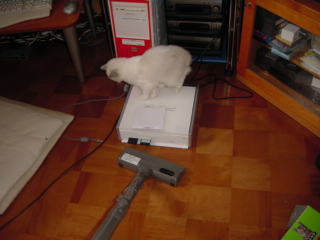 c0024410_22281016.jpg