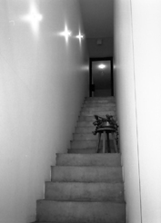 b0051033_084357.jpg