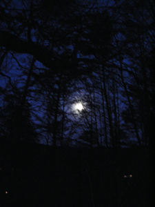 a0013134_010072.jpg