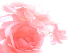 b0055939_2133111.jpg