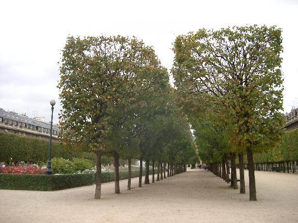 c0005899_613922.jpg