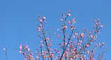 c0022913_0181129.jpg