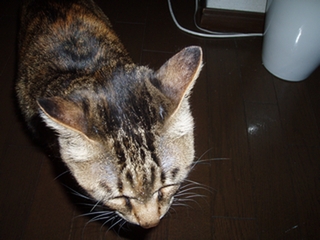 a0027720_1415661.jpg