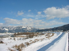 b0039373_16343165.jpg
