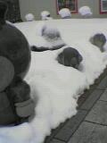 c0023076_824141.jpg
