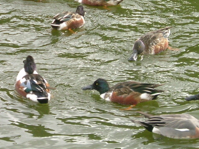b0044296_0141081.jpg
