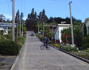 b0040606_1815826.jpg