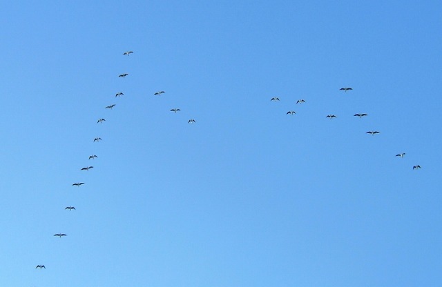a0034419_13295067.jpg
