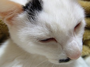 a0034419_18391898.jpg