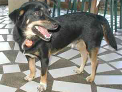 c0034029_18104642.jpg