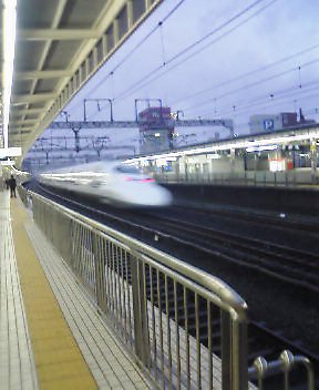 a0038332_1645811.jpg